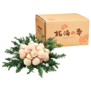 y I Mtg  z kCY قĊL 500g hgp ق L z^e  hg kC Ⓚ CN Mtg v[g 蕨 j j yY VՂ o^[Ă
