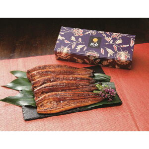 y I Mtg  z Vy Ȃ  5 Ȃ V  Y Y y MtgZbg aH  ǂԂ  ܂ ͂ Z  Mtg  