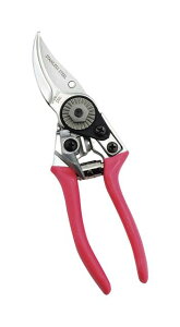 y I Mtg  z ΂ NNnT~ p  ΂ ͂ fB[X