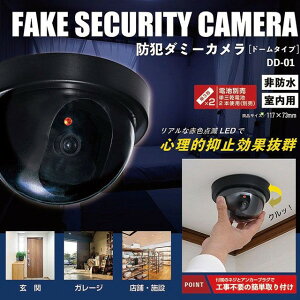 y I Mtg  z hƃCg ĎJ _~[ ȒP ݒu Hsv h dr  K[W X { Cgt O h hƃObY hƃ_~[J h[^