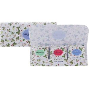 y I Mtg  z EFbWEbh Ch Xgx[ eB[obO eB[obO3 9A\[gZbg g eB[obO Mtg Ԃ MtgZbg 킢  e