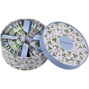 y Ε  ~Mtg z EFbWEbh Ch Xgx[ eB[obO eB[obO4 36A\[gZbg g Mtg Ԃ MtgZbg 킢  eB[ob