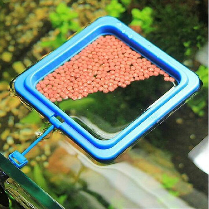 楽天市場 餌入れ 水槽 枠 アクアリウム 熱帯魚 吸盤 給餌 メダカ 餌入れ 水槽 枠 金魚 エサの広がり防止 リング 送料無料 Lavett