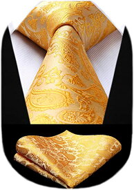 結婚式 黄色 ネクタイ チーフ セット メンズ ペイズリー ネクタイ おしゃれ ビジネス 就活 入学式 卒業式 ブランド プレゼント 送料無料