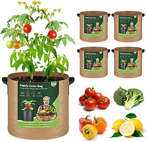 y5Zbgz v^[ sDz z  t 7K sDz|bg tFg ͔|  A A琬 ԍ͔| ؍͔| | 搧 F