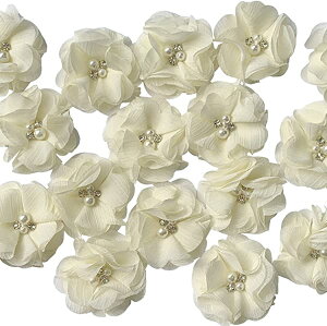 20  z  |pi hX obO ANZT[t[ ԉ a Ǝ l ܎O  5cmix[Wj 