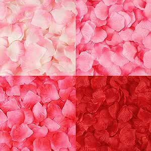 o Ԃт 2000  [Y KN sNn  t[V[ v|[Y  a j p[eB[ Be ȂǗp   (sNn)