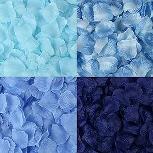 o Ԃт 2000  [Y KN u[n F  t[V[ v|[Y  a j p[eB[ Be ȂǗp   (u[n)