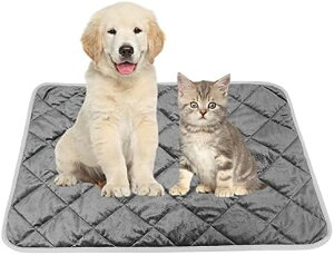  L ybg}bg O[ ۉ}bg ybgp }bg g Mѕz zbg}bg Iۉ ~ _炩 h 􂦂 ^ ^ L p (L)