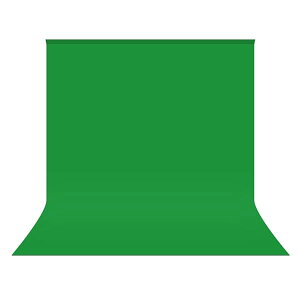 wiz  150 x 200cm Bep O[obN ψ n N}L[ z O[ obN ܂ ʐ^X^WI [XN[ SgBe n |[Ή BepwiV[g ʐ^ rfI e