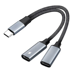 USB-C Cz [dA_v^[  Type-C [^[ fA Type-C ʘbiC҂ iPadV[Y / AndroidȂǂUSB C^foCX (D) 