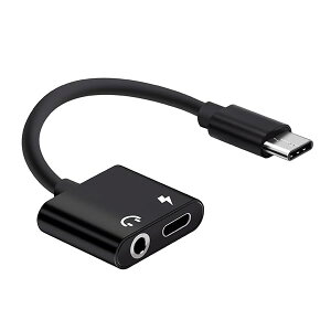 USB C CzWbN ϊA_v^ 2in1 }[d  y ҃P[u ʘb / R HiFi Ή ϋv XperiaV SHARP AQUOS sense Galaxy Z Flip 3 / Fold 3Ȃǂ̋@ɓKĂ 