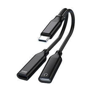 USB-C wbhtH [dA_v^ fA DAC nC] PD60W[d MňS ʒ / ʘb / yΉ iPad Pro / Android / Type CȂǋ@ɓKp ubN 