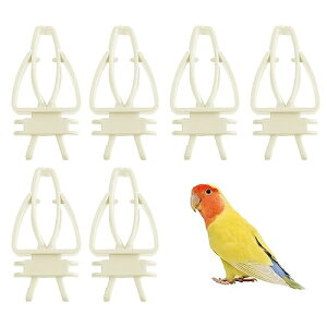  P[W t[hz_[ 6 IE t[c ؃Nbv P[WtB[_[Nbv P[WANZT[ ϋv g₷ Xy[Xߖ 