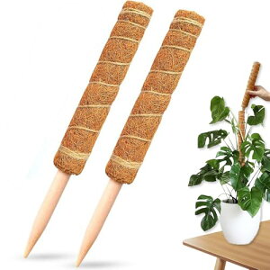 |x Aϗt |p[c ϗtA RRibc K[fjOp ی  Ԏgp ێ _Ɨp |p 30cm 2Zbg