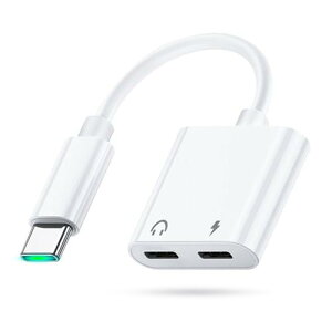 CzϊA_v^ Type-C to Type-C ϊCzWbN 2in1 30W}[d yĐ/ʘbΉ 16bit/48KHz Hi-Fi Android/Pad/PadPro / phone15 / 15pro / windows/Type CȂǋ@ɓK 