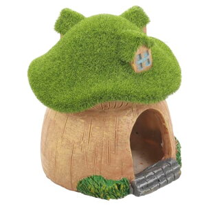  ̉B LmRnEX LmR̐̏ ق̑̉ ̓A ق̉B ̉B Ϗ܋̃VF^[ ق̓Ȃ ANZT[ 