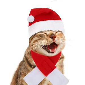 L NX}X RX`[ Xq }t[ 2_Zbg MTCY T^N[X p[eB[ ߑ ~ g h  