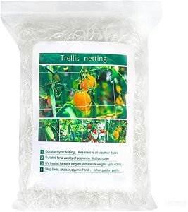 |lbg |pgl 1.67m×c5m 15cmԖ iq A 