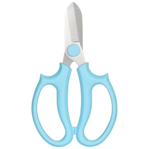 oT~ @\Ԑ؂͂ V^fUC |p DIYc[ y ʕ   ~ (sN) 