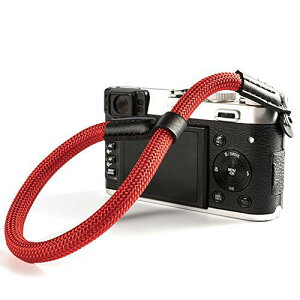 JXgXgbv nhXgbv ۃO ~[XΉ Vv ߉\ h~ (RD) 