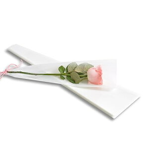 bsOobO t[  u[P bsO o^C zCgf[ [50] (zCg)  Op opp jɂ  