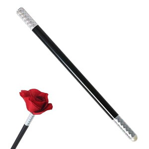 iXebL  }WbNpi ipi itp ppi }WbNObY iObY ȒP Ԃ炩XebL