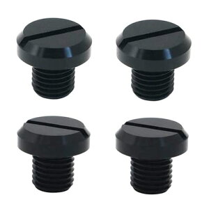 ~[z[Jo[Lbv M10 x 1.25 lW+tlW A~ {g oCN~[ oC~[z[Jo[ I[goC oCNp 4(ubN) 