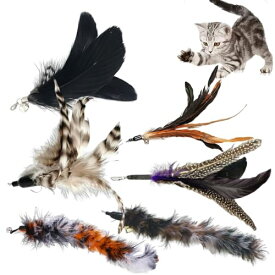 猫 おもちゃ 6点セット 羽のおもちゃ 猫じゃらし 羽根 ねこ玩具 交換 し易い 運動不足とストレス解消 (ブラック)