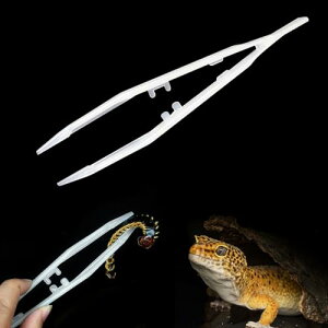 ঒ރsZbg asZbg Z[teBsZbg  JG gJQ  aNbv Ԃɖ邢 x Sɉa ybgpi 