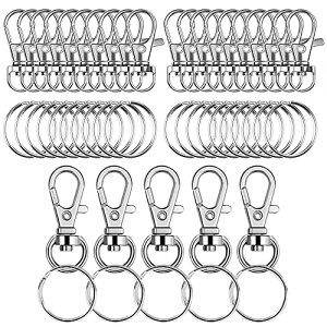 L[z_[ dO L[z_[ ]tbN ^b`ŎO L[O 2AOt L[z_[ L[O DIYp |pi 25Zbg Vo[J[ 