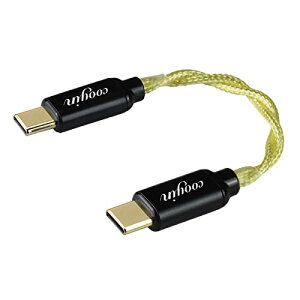 OTG P[u I[fBI TYPE-C IX TYPE-C IX Litz Wire ⃁bLP |[^uDACAv X}z DAC / wbhzAvɓK