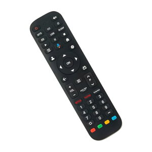 FPD 55 C` Canvas V[Y Google TV pR @\t փR pR ݊i 