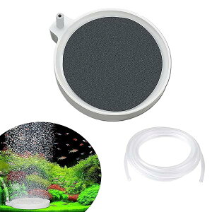 GA[Xg[ ی` C ׂA GA[Xg[  ሳ É Ϗ܋ Mы  W Cp(z[XtĂ܂)