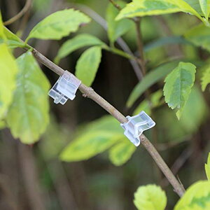 ږؗpNbv NAs`M OtgNbv g}gNbv K[fjO g}gc OtgNbv iOX OtgNv c؃c[ AڐA ږؗp ږؕێ 100{