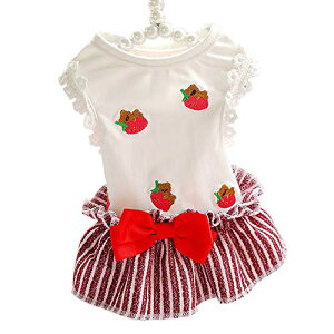  s[X ybg tďH hbOEFA   C`S XgCv ʋC Ȃ EȒP Ȑ іh~ ^ L p m  LOBe U o