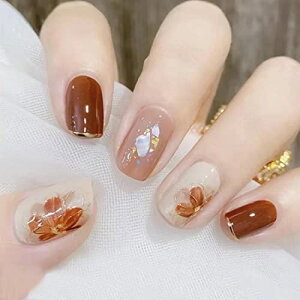 lC`bv V[g WFlC lCV[  tălC Eh`bv  LL ` Z 3D 24 lCpi ʃe[vt lCA[g̓Zbg (ACX