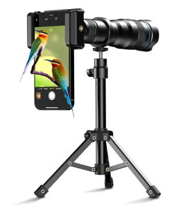 X}z ]Y 36{ ] @Ή }Egt Pዾ  ϋv X}z]   \ OrtPዾ 99.9X}zɑΉ ^ϐ 싅ϐ AEghA჌