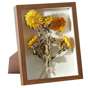 tHgt[ X^h^Cv A5 {bNXt[  NAt[ ؐt[ KX ʐ^ hCt[ W{ tBMAP[X 