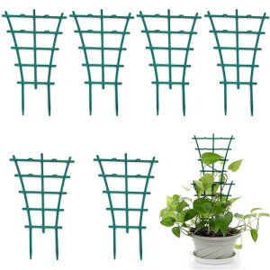 |x A x T|[gt[ Ԃ Xe[N [6Zbg]K[fjOpx ~jgX AT|[gt[ Ԏx |p