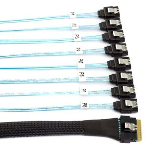 SAS 4.0 �X�������C�� SFF-8654 8i 74�s�� �z�X�g RAID ���� 7�s�� 8 SATA �^�[�Q�b�g �n�[�h �f�B�X�N �t�@���A�E�g RAID �P�[�u�� 1 �� 8 �X�v���b�^�[ 50CM ��������