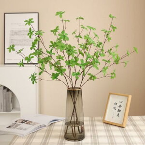 hE_ccW tFCNO[ 3{Zbg lHϗtA ϗt ϗtA } ͂Ȃ CeA rO   ItBX X  Be