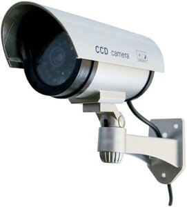 _~[ hƃJ ĎJ dr 펞_ dsv O  hƑ΍