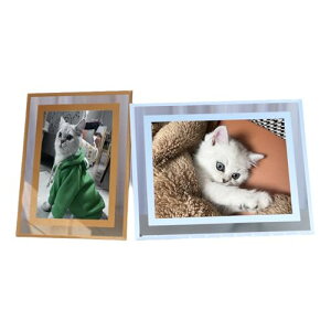 tHgt[ AN NA cp ʐ^  ܏ F LO a ސE j Mtg v[g ʐ^  Ȃ NA t[ 