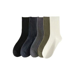 pC gC Ўŗ zL ϋv n jɂ jZbNX C 