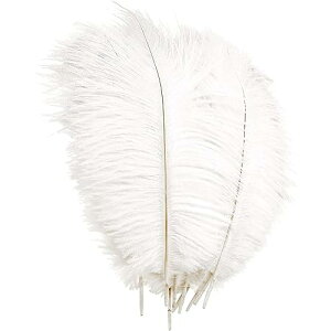 H H _`E p ^ȃtFU[ WG[/H|i/wAANZT[ a p[eB[  Xe[W ߑ f H (30-35cm 10{)