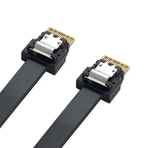 PCI-E XC SAS4.0 SFF-86544i38s zXg  SFF-8654 X SAS ^[QbgP[u 40cm 