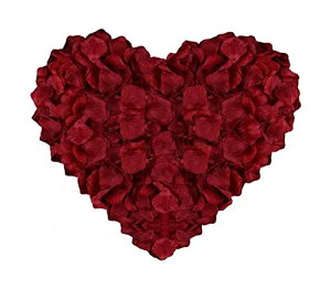 Ԃт t[V[ 1000Zbg  KN  v|[Y   EGfBO 2 a j oɃ[Y p[eB[ NX}X Be o p[eB[p (