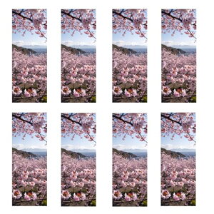  ubN}[N x y ϋv GRf ɖ{ 蒠p 蕨Ή w t Ǐ ̕i ZbgS8 