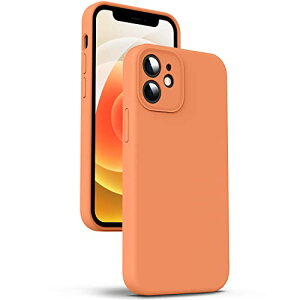 iPhone 12 Mini P[X VR JY ی wh~ \tg^b` ϏՌ 4wی ACtH 12 ~j X}zJo[ }CNt@Co[ 5.4C` (IW) 